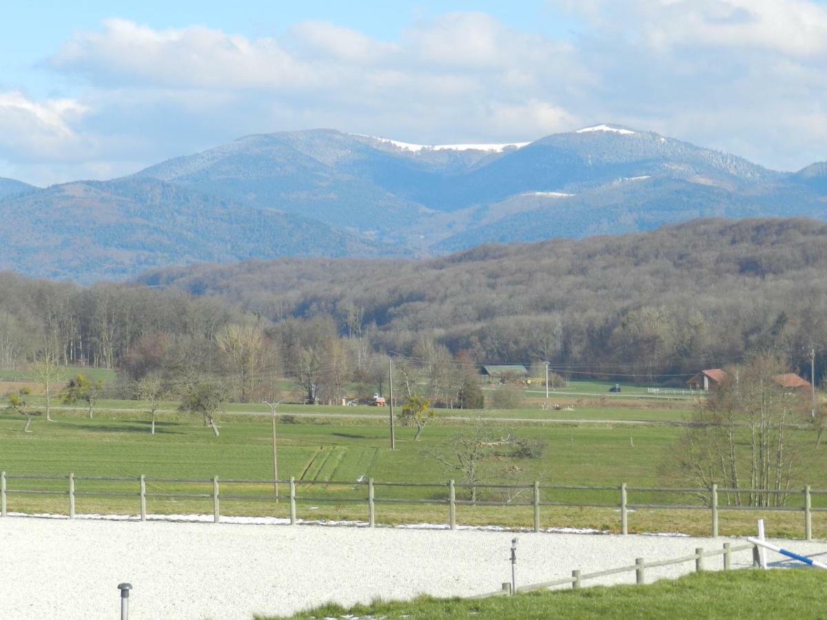 Oscar'S Home Soppe-le-Bas Dış mekan fotoğraf